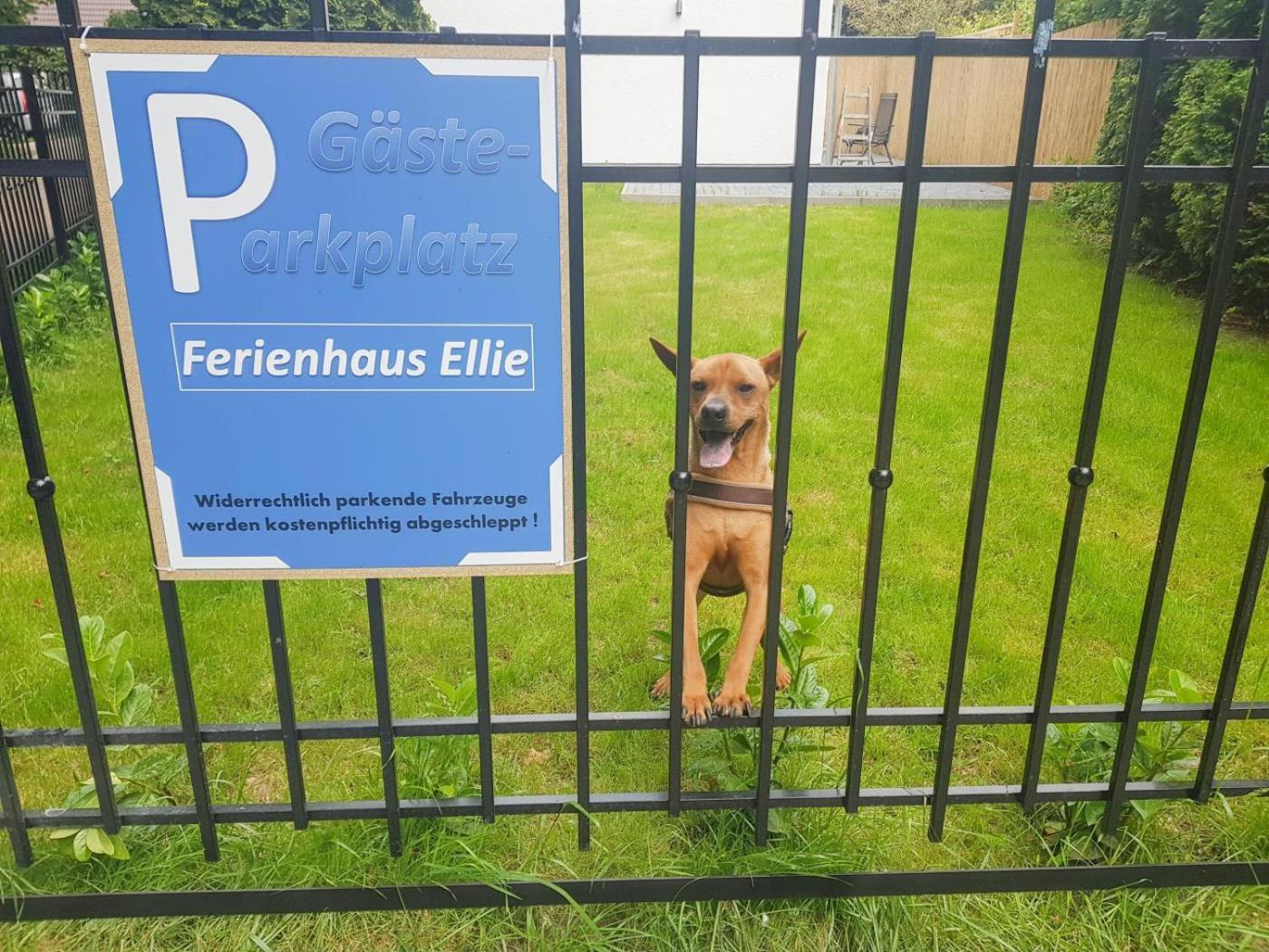Ferienhaus Ellie ハーフクルーク エクステリア 写真